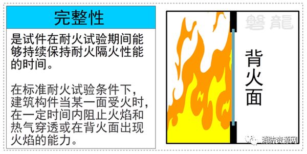 圖片4