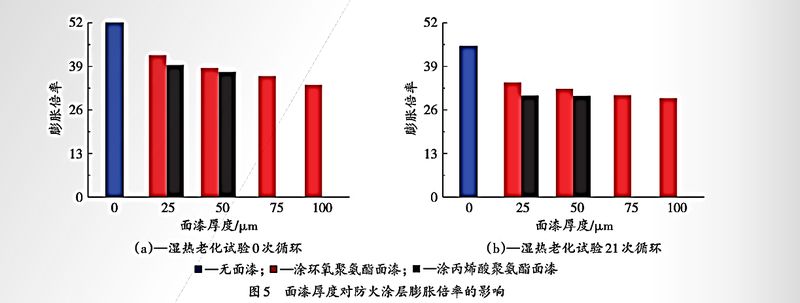 圖片7