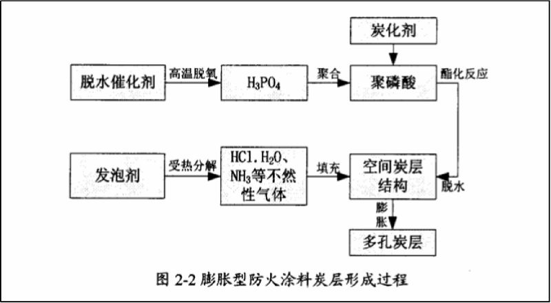 圖片8