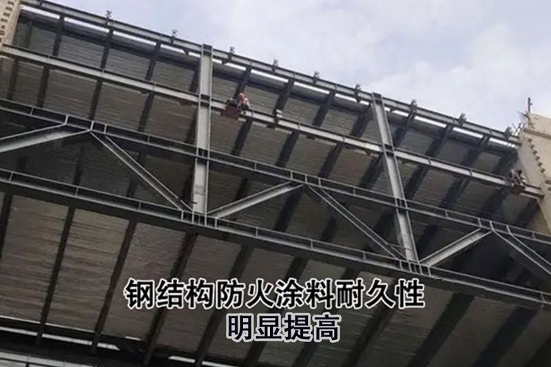 圖片5