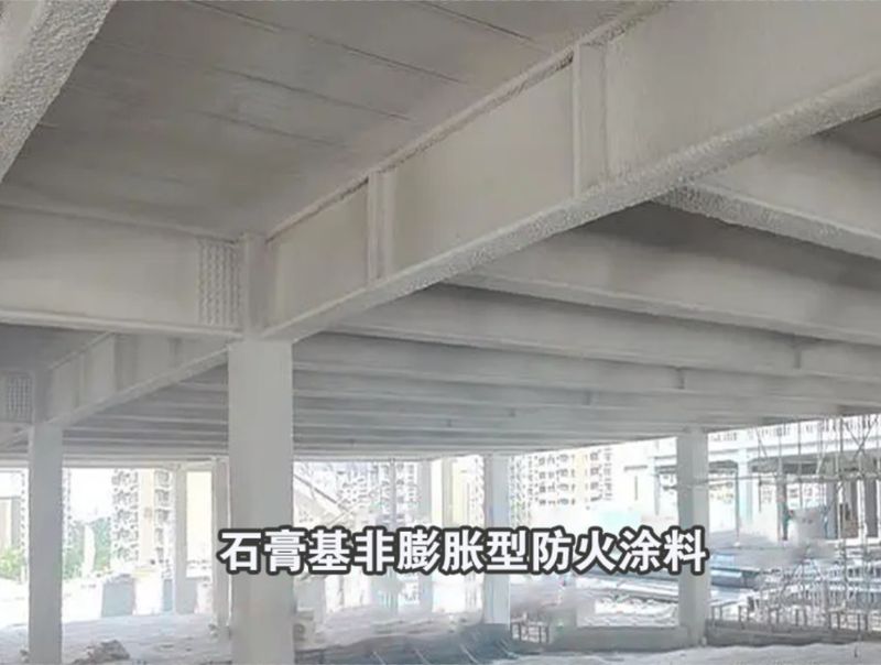 圖片7