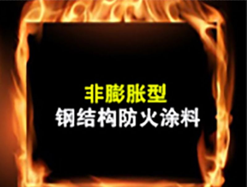 圖片6