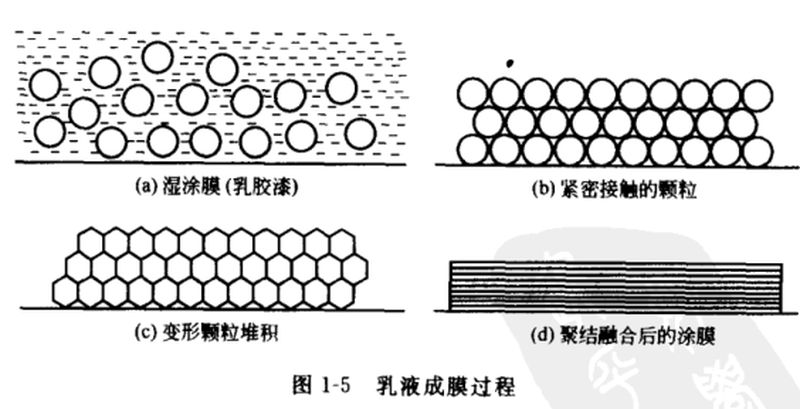 圖片13